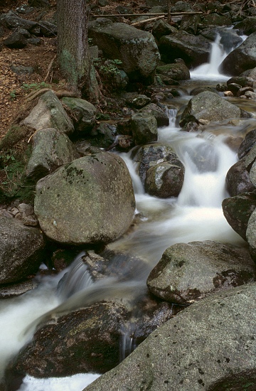 Polish Brook