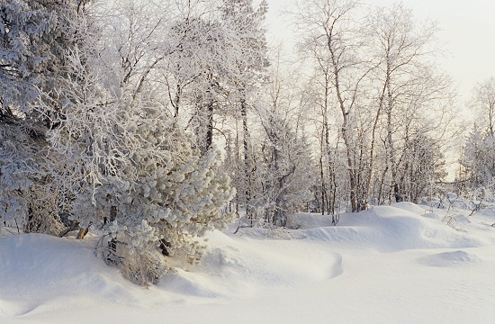 Twilight at Taiga