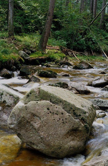 Kamienczyk Brook