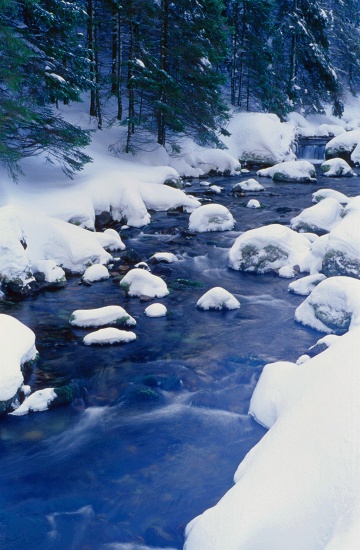 Tumanowy Brook