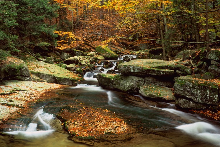 Szklarka Brook in Fall