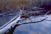 Log in Wezowka Lake