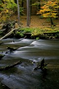 Plociczna River