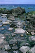 Rocks