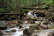 Wrzosowka Waterfalls