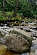 Kamienczyk Brook
