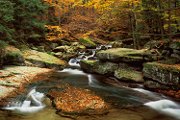 Szklarka Brook in Fall