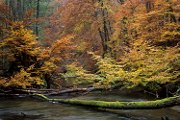 Autumn over the Drawa River